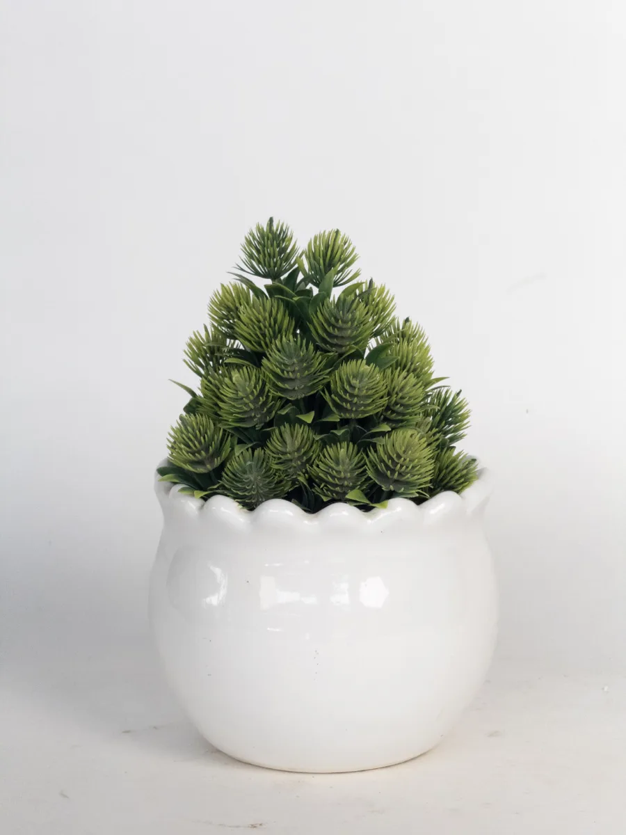 Classic Ceramic Planter — 4" Dia × 4" Height — Primary View