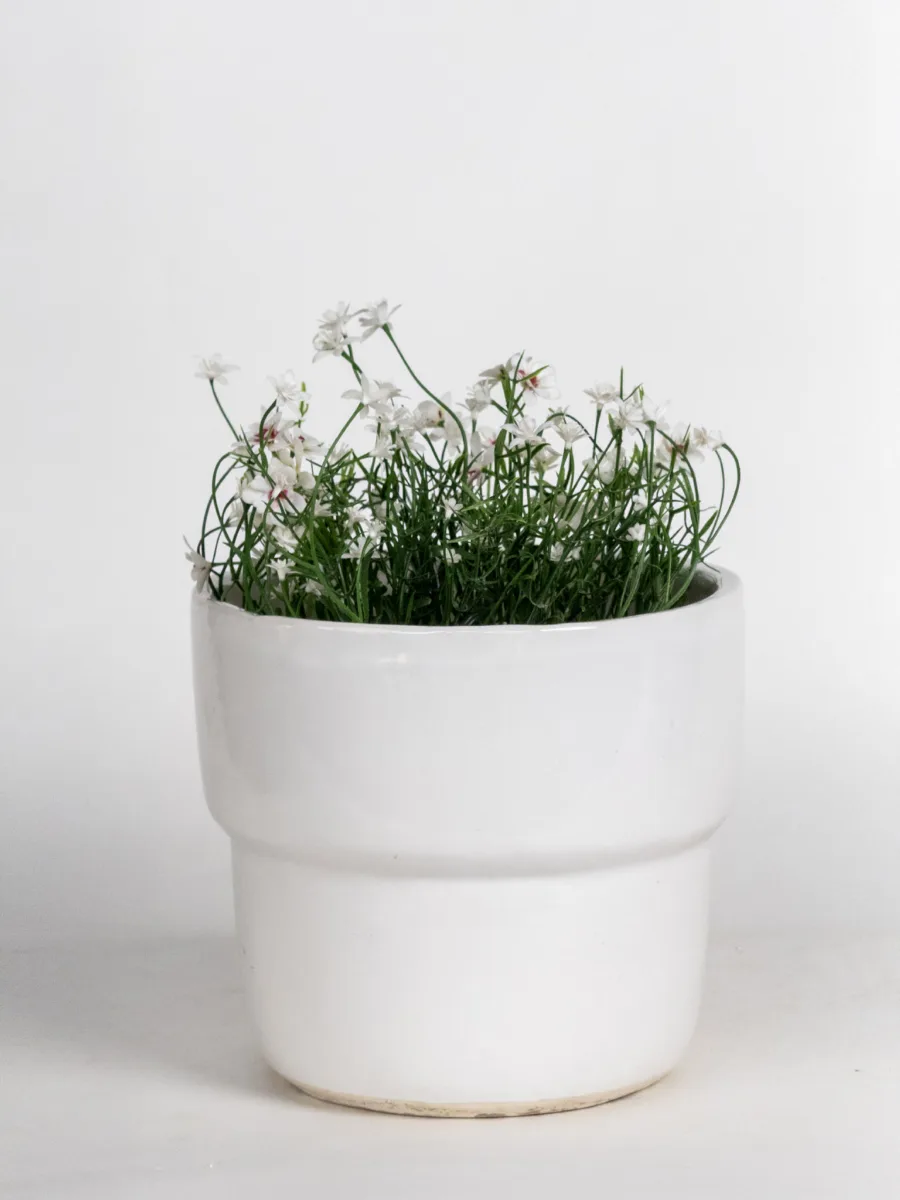Classic Ceramic Planter — 3.5" Dia × 3.5" Height — Primary View