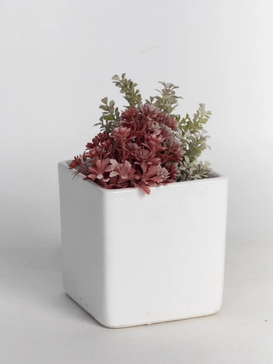 Classic Ceramic Planter — 5" Dia × 4.5" Height — Primary View