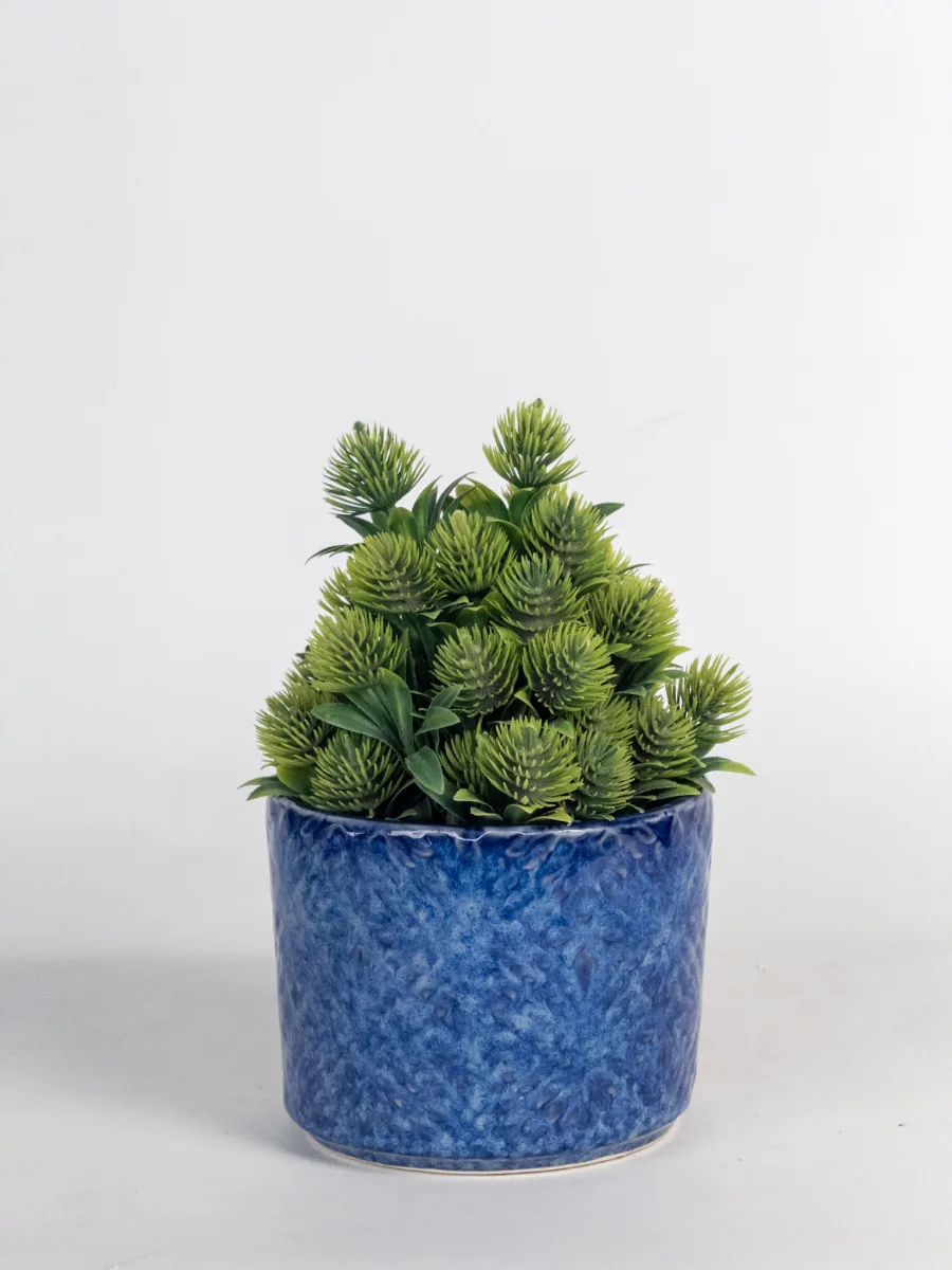 Classic Ceramic Planter — 6.5" Dia × 3" Height — Primary View