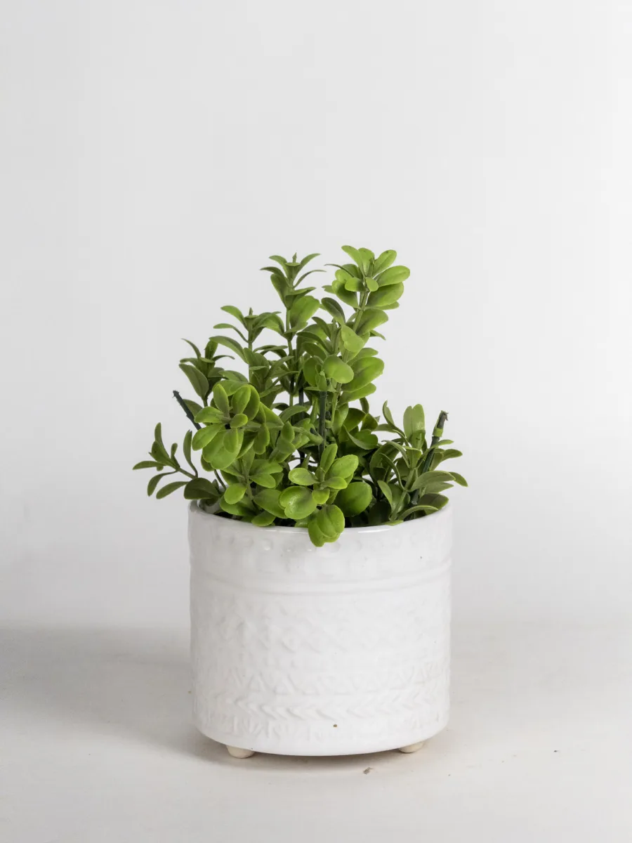 Classic Ceramic Planter — 4" Dia × 4.5" Height — Primary View