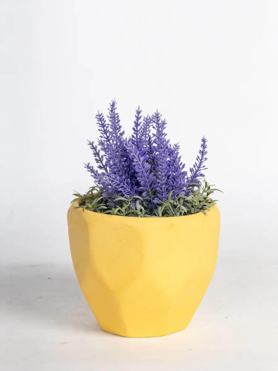 Classic Ceramic Planter — 6" Dia × 5" Height — Primary View