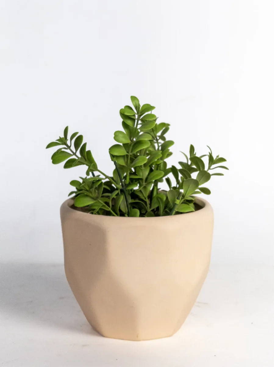 Classic Ceramic Planter — 5" Dia × 4.5" Height — Primary View
