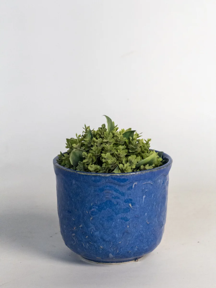 Classic Ceramic Planter — 4.5" Dia × 5" Height — Primary View