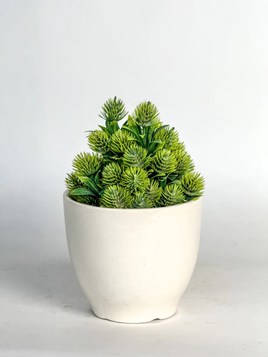 Classic Ceramic Planter — 4" Dia × 4.5" Height — Primary View