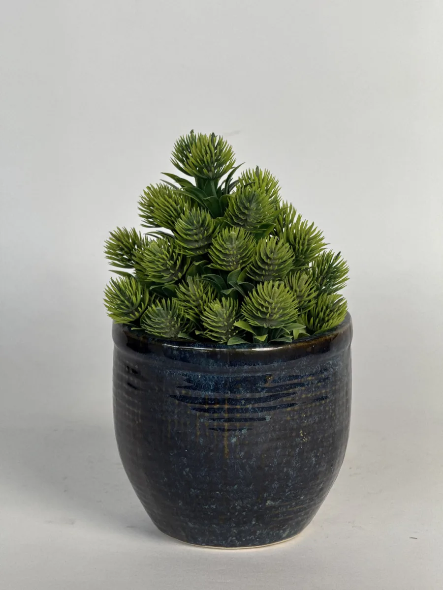 Classic Ceramic Planter — 5" Dia × 4" Height — Primary View