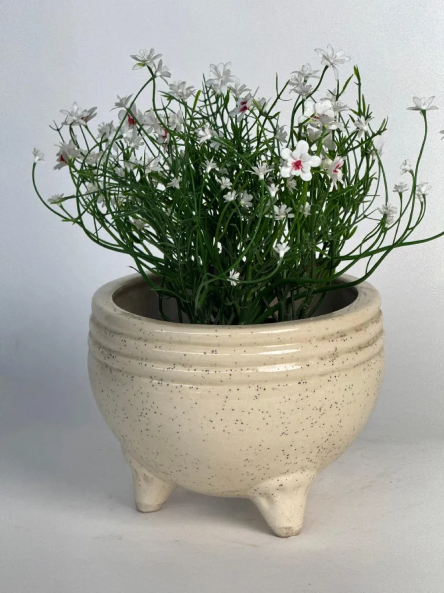 Classic Ceramic Planter — 5" Dia × 4.5" Height — Primary View