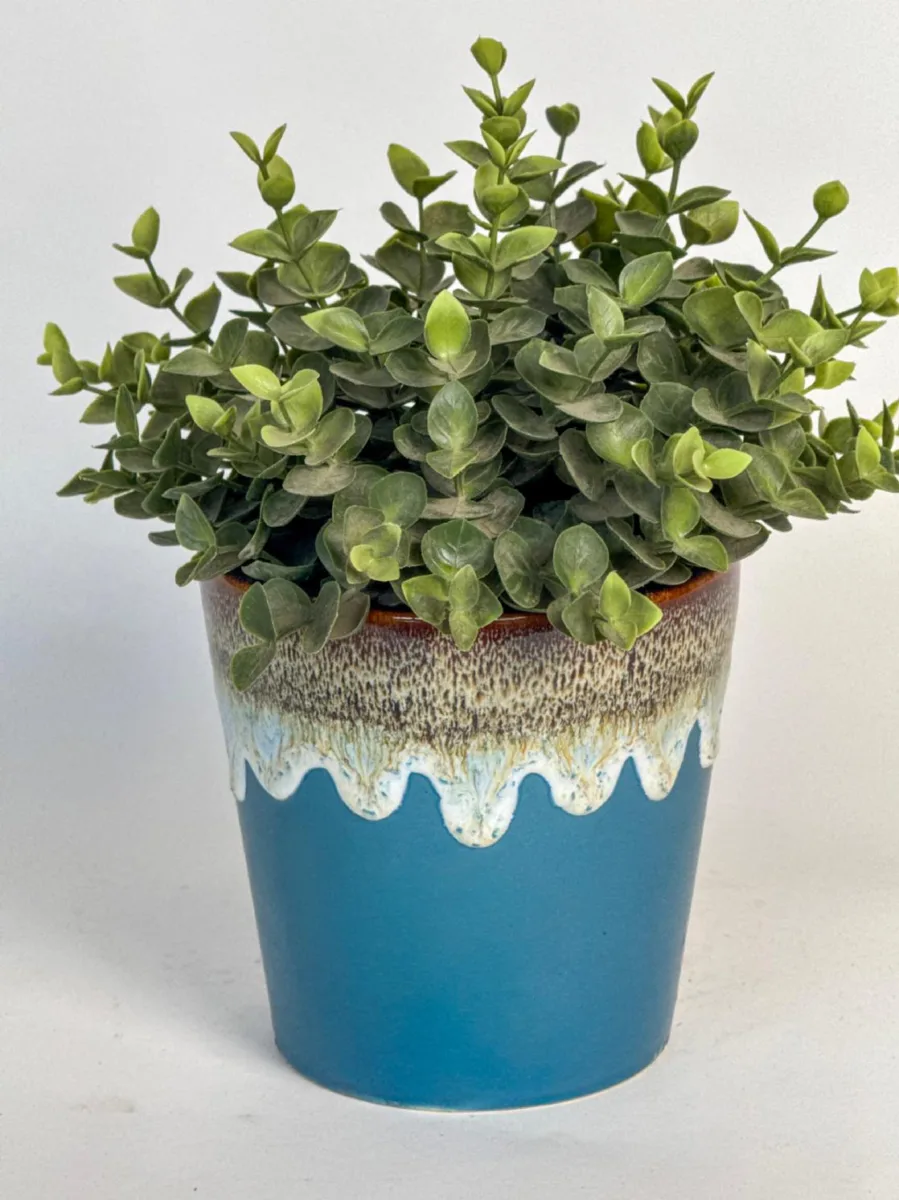 Classic Ceramic Planter — 5" Dia × 4.5" Height — Primary View