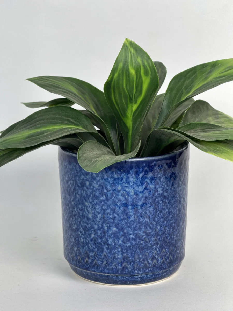 Classic Ceramic Planter — 5" Dia × 4" Height — Primary View