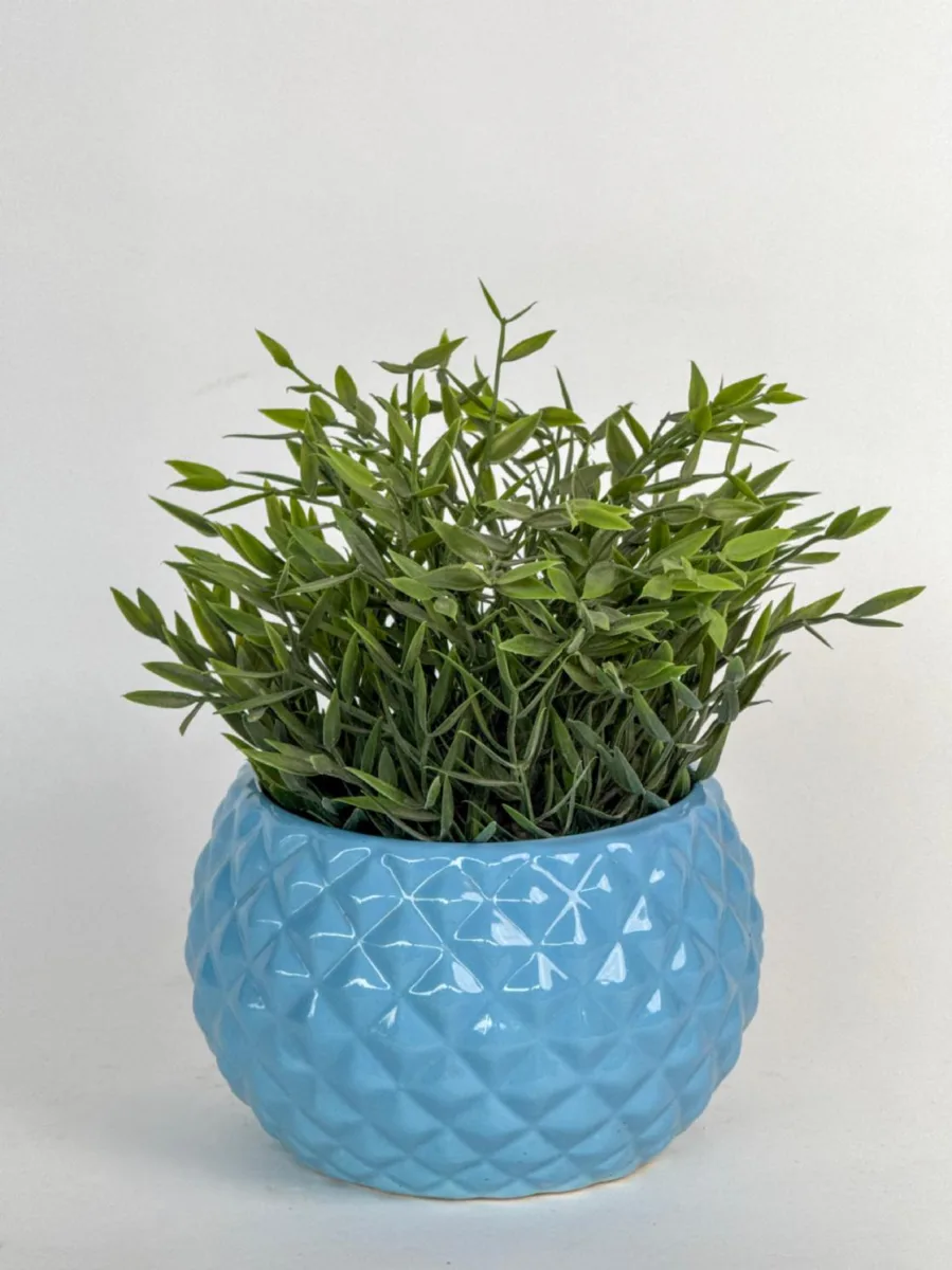Classic Ceramic Planter — Primary View