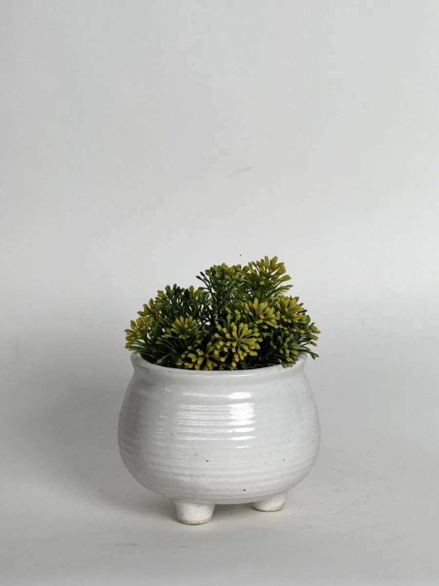 Classic Ceramic Planter — 6" Dia × 5" Height — Primary View