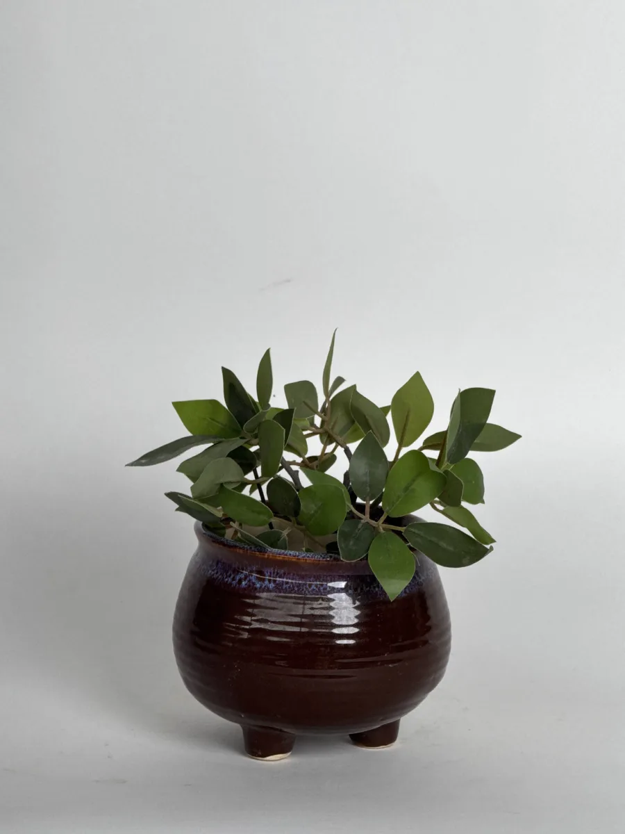 Classic Ceramic Planter — 12.5" Dia × 2.5" Height — Primary View