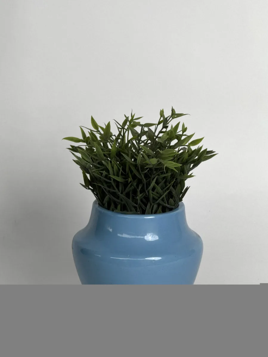 Classic Ceramic Planter — 4.5" Dia × 5" Height — Primary View