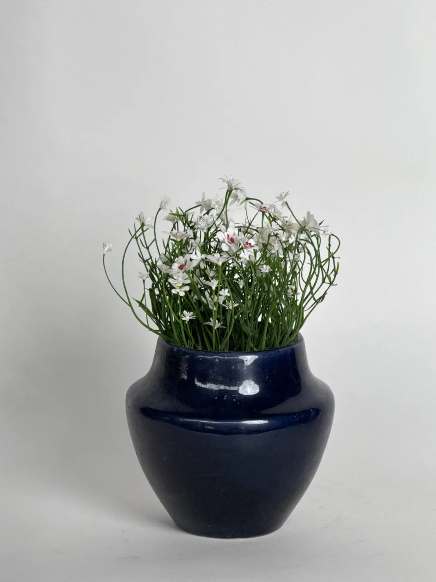 Classic Ceramic Planter — 6" Dia × 6" Height — Primary View
