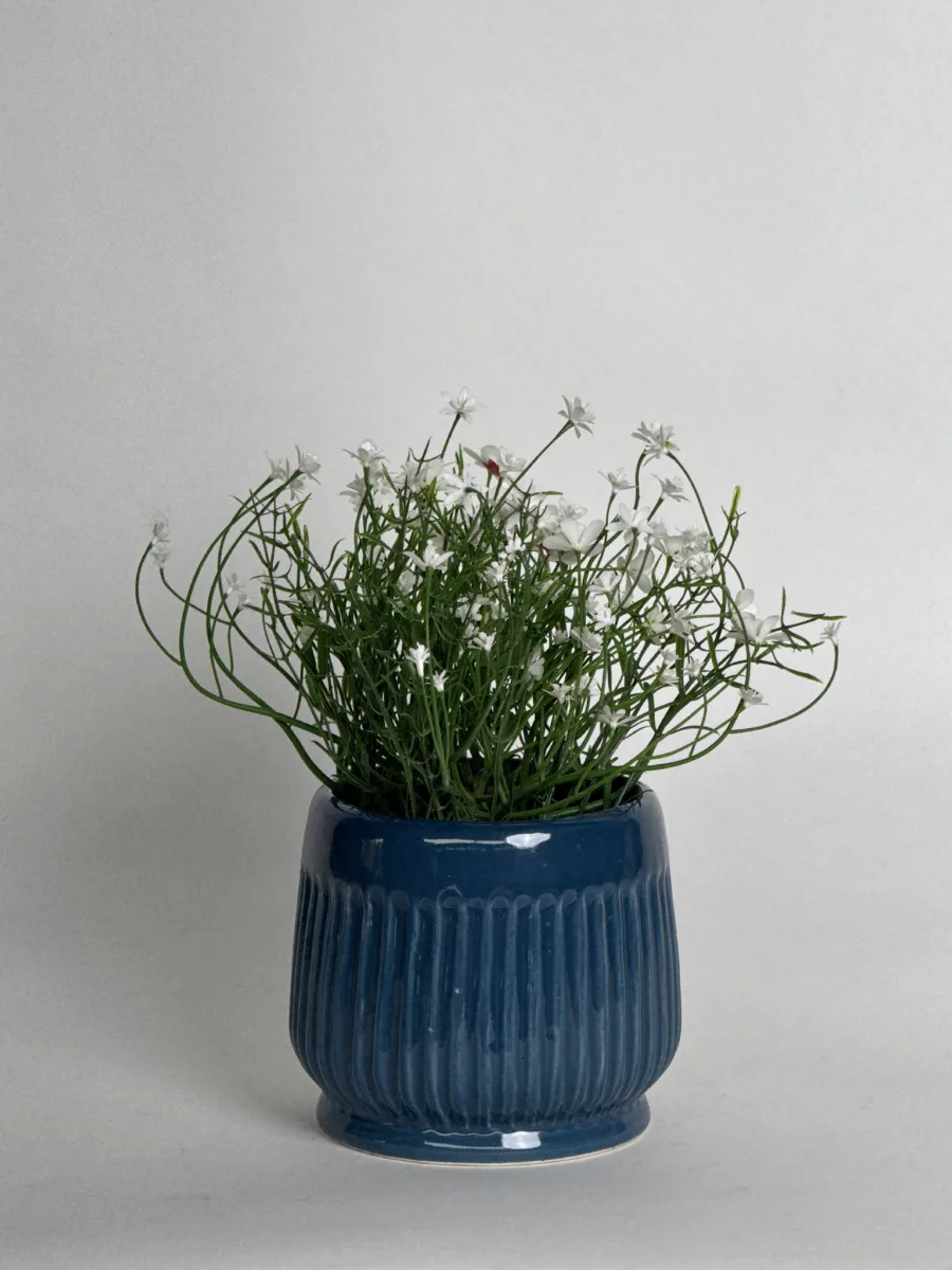 Classic Ceramic Planter — 6" Dia × 5" Height — Primary View