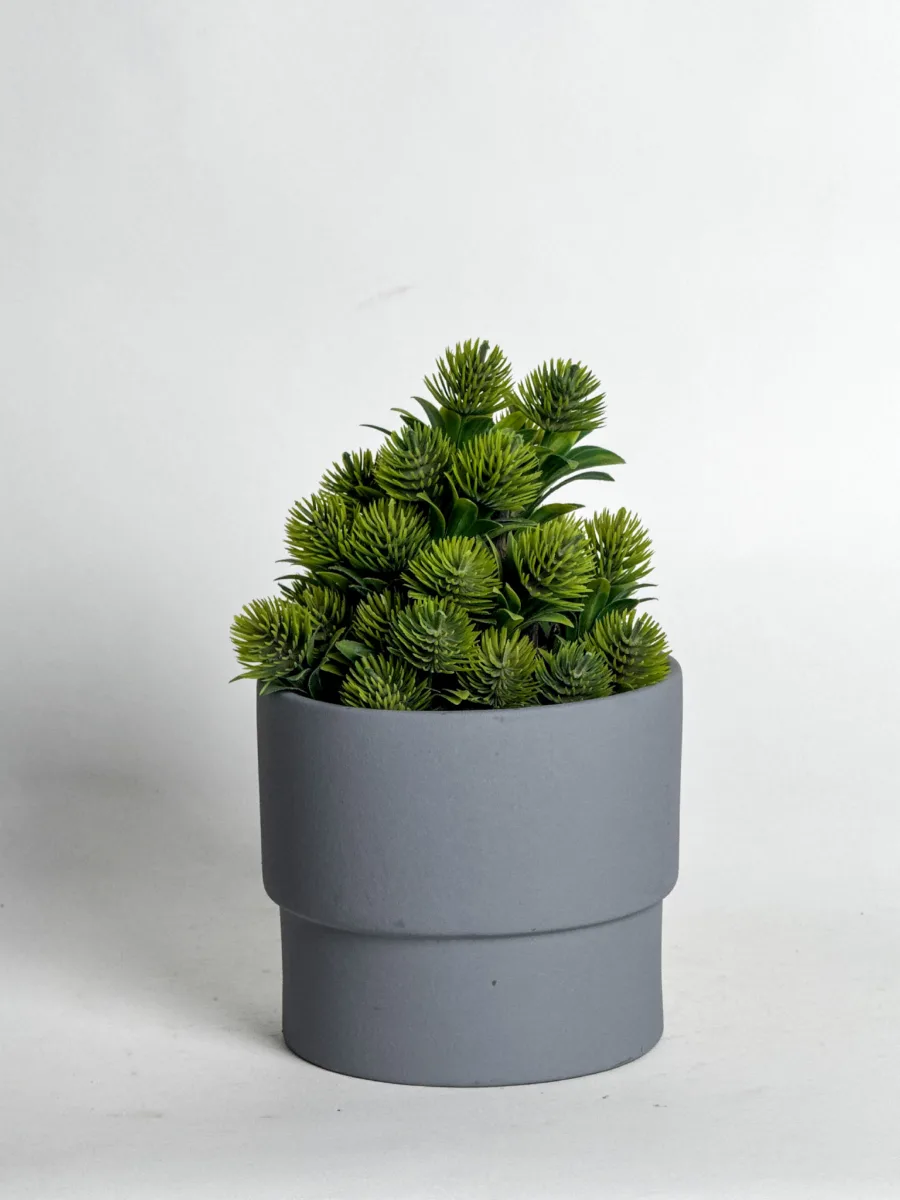 Classic Ceramic Planter — 6" Dia × 5" Height — Primary View