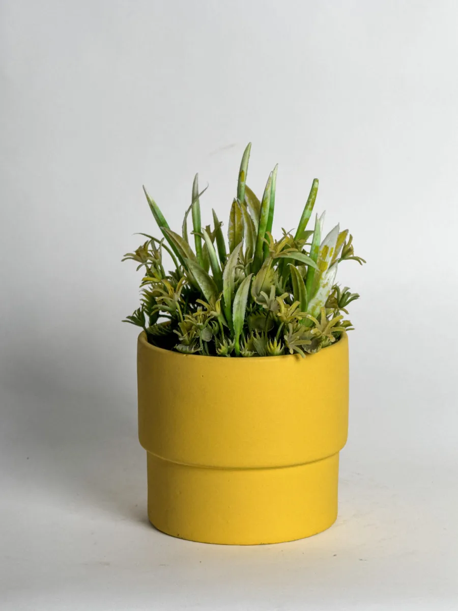Classic Ceramic Planter — 6" Dia × 4.5" Height — Primary View