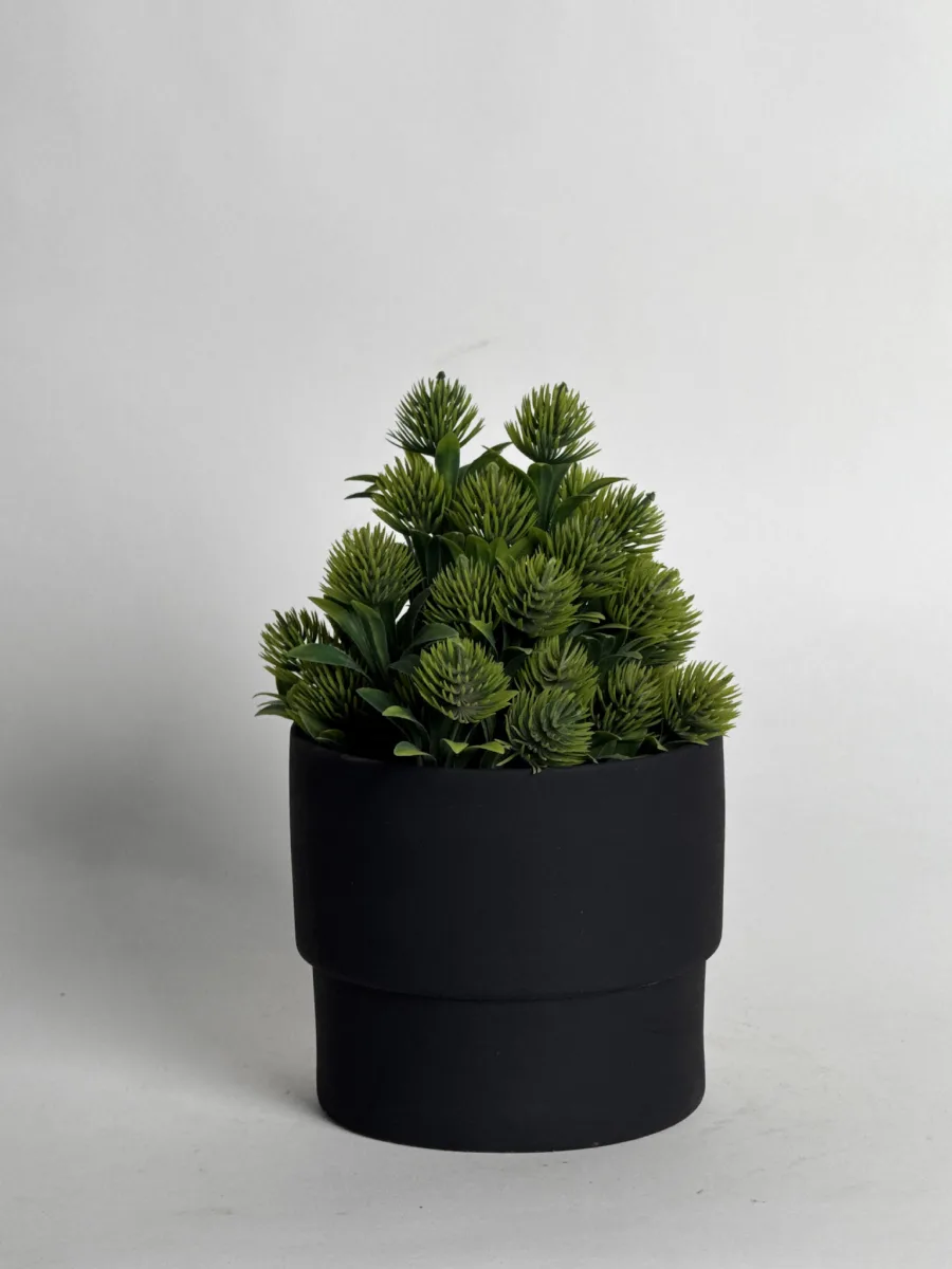 Classic Ceramic Planter — 6" Dia × 4.5" Height — Primary View