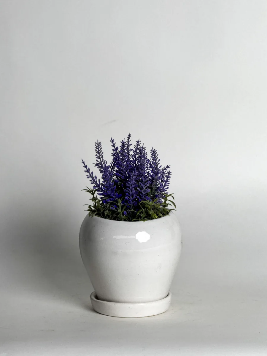 Classic Ceramic Planter — 6" Dia × 5" Height — Primary View