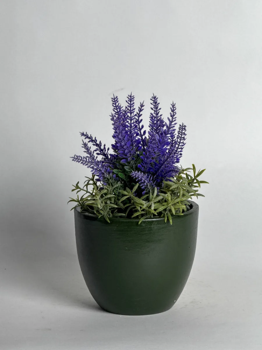 Classic Ceramic Planter — 6" Dia × 6" Height — Primary View