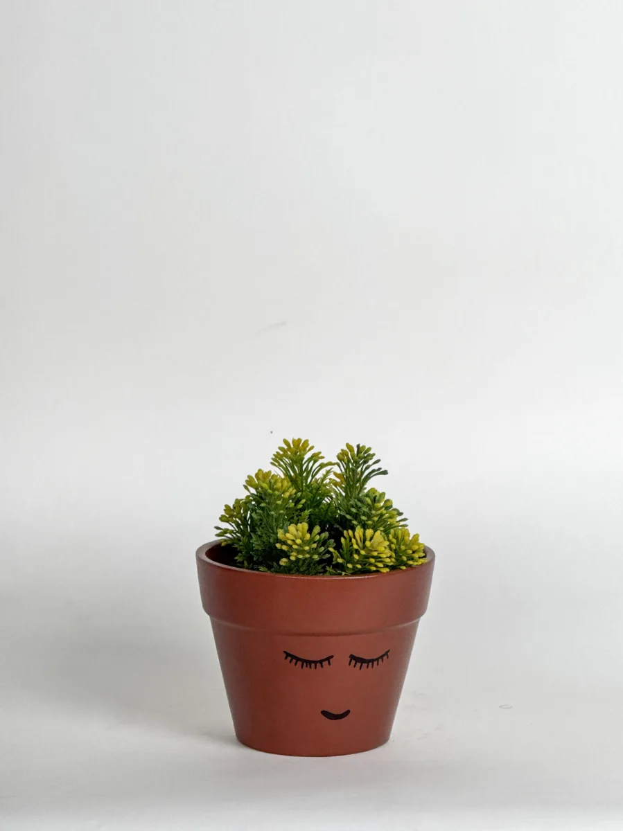 Classic Ceramic Planter — 6" Dia × 6" Height — Primary View