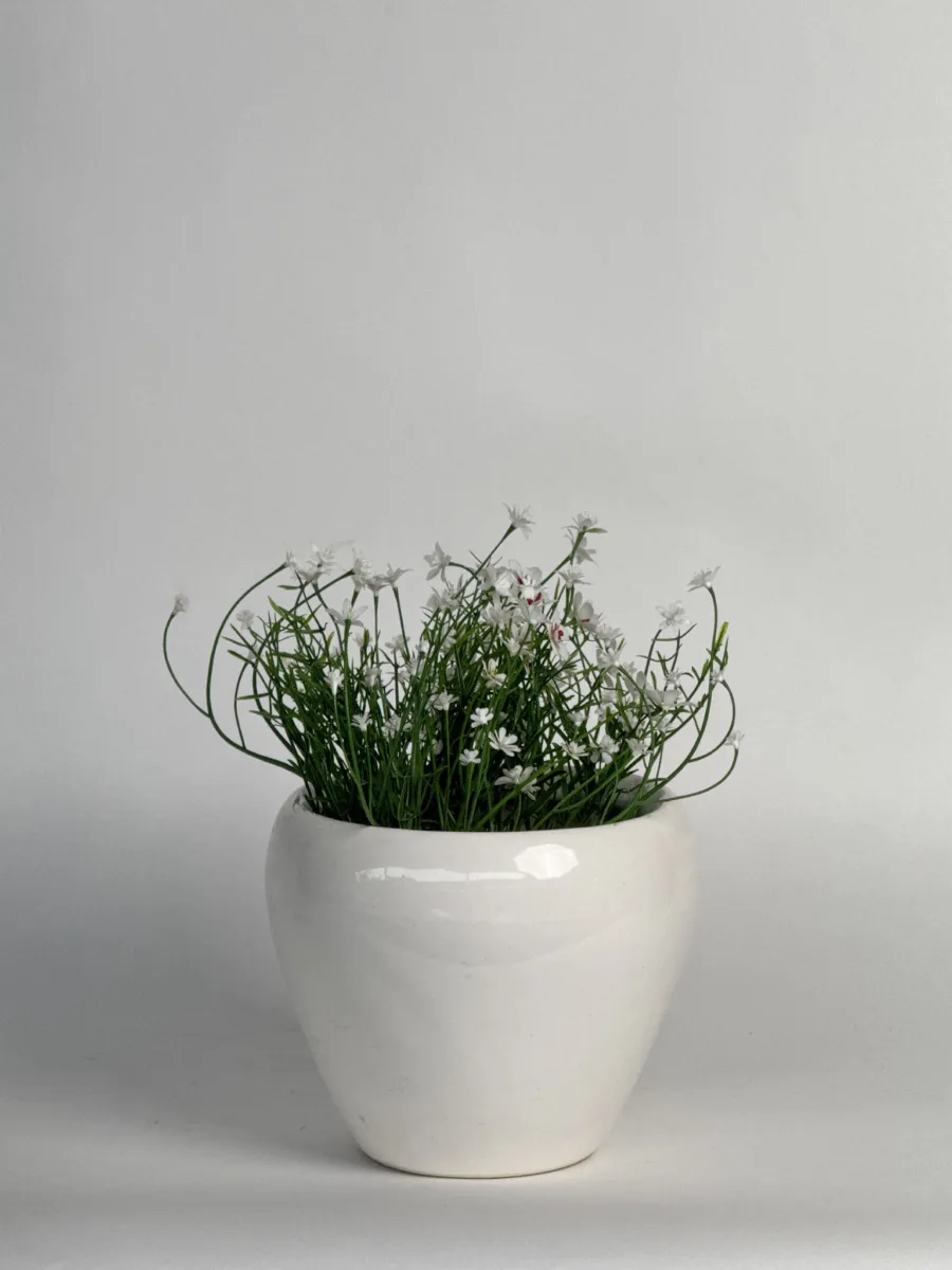 Classic Ceramic Planter — 5" Dia × 4" Height — Primary View
