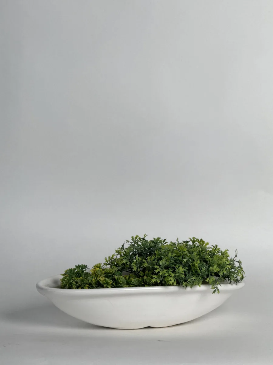 Classic Ceramic Planter — 4.5" Dia × 5" Height — Primary View