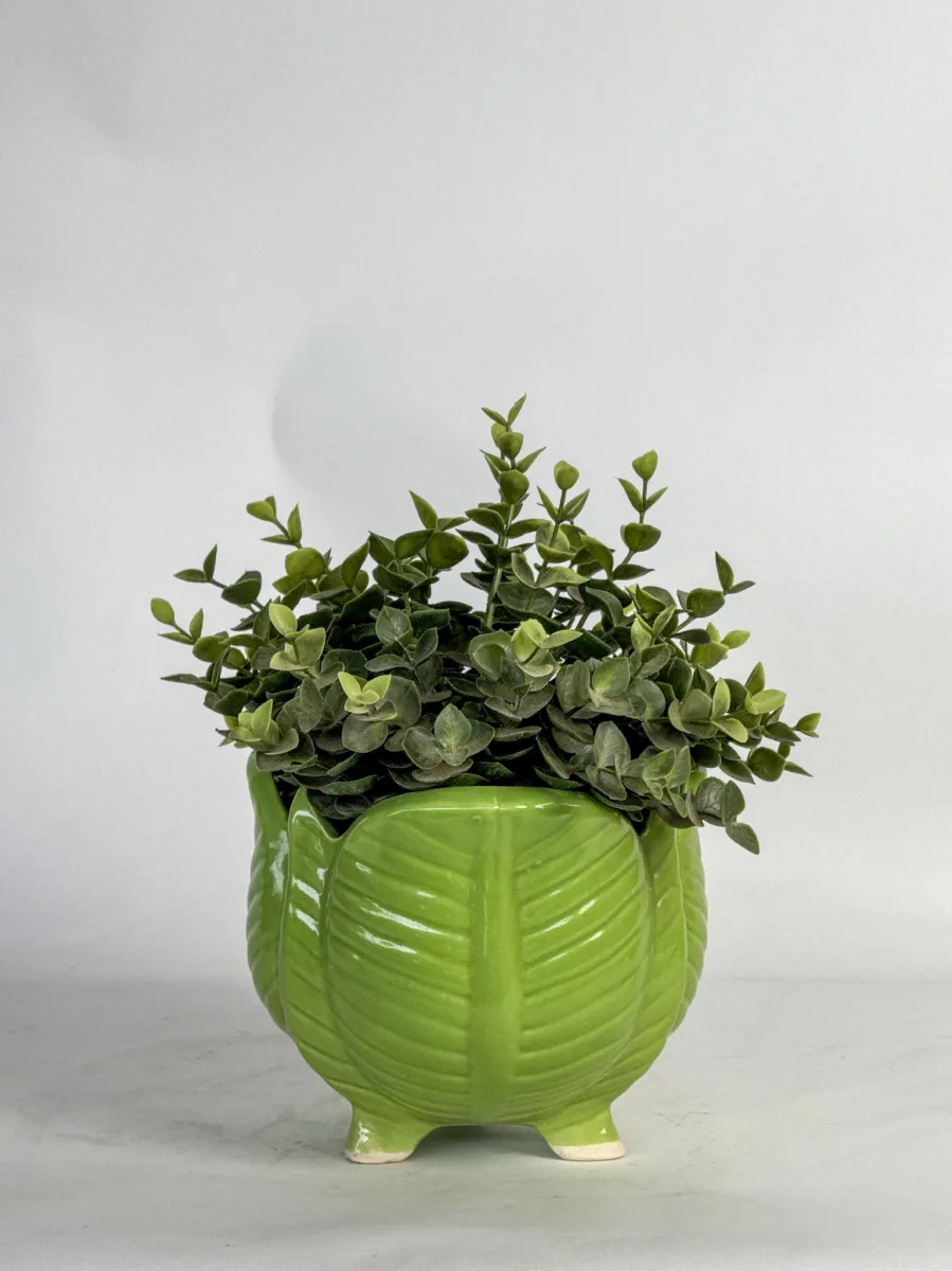 Classic Ceramic Planter — 5" Dia × 4" Height — Primary View