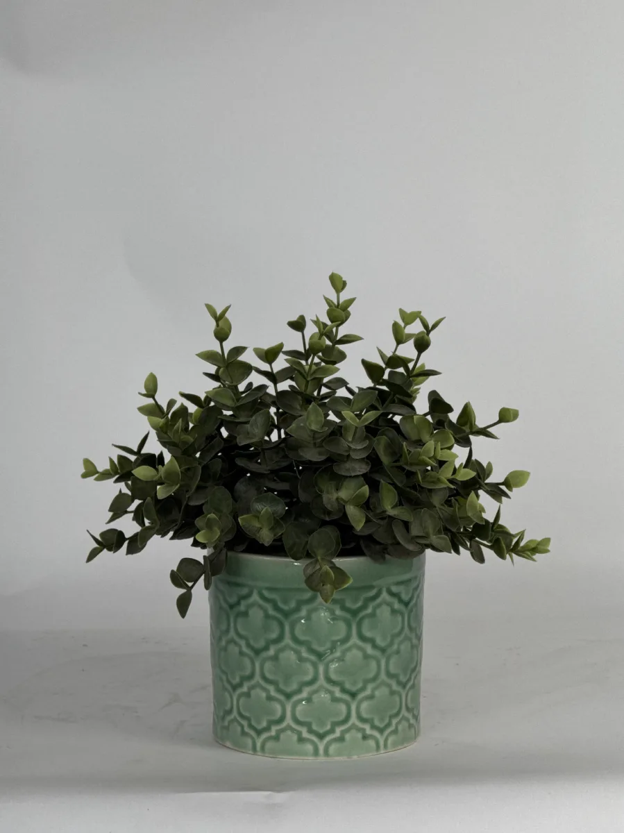 Classic Ceramic Planter — 6" Dia × 5.5" Height — Primary View