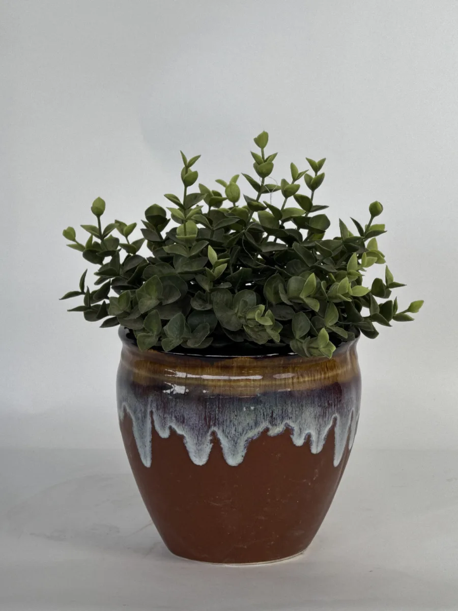 Classic Ceramic Planter — 13" Dia × 2.5" Height — Primary View