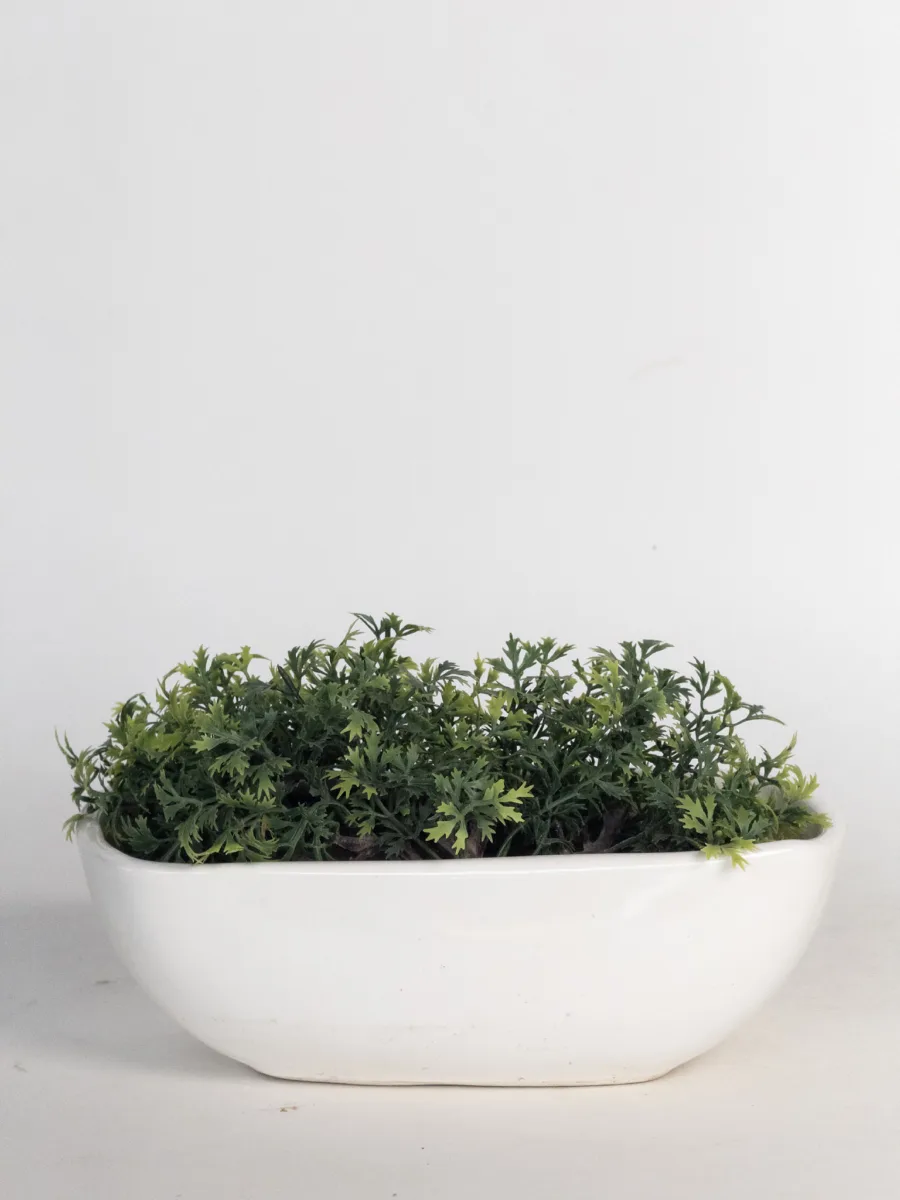 Classic Ceramic Planter — 7" Dia × 5.5" Height — Primary View