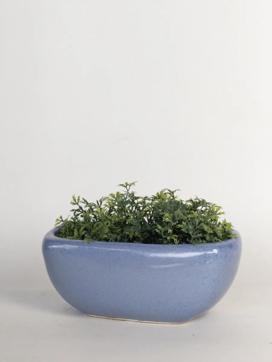 Classic Ceramic Planter — 4.5" Dia × 4" Height — Primary View