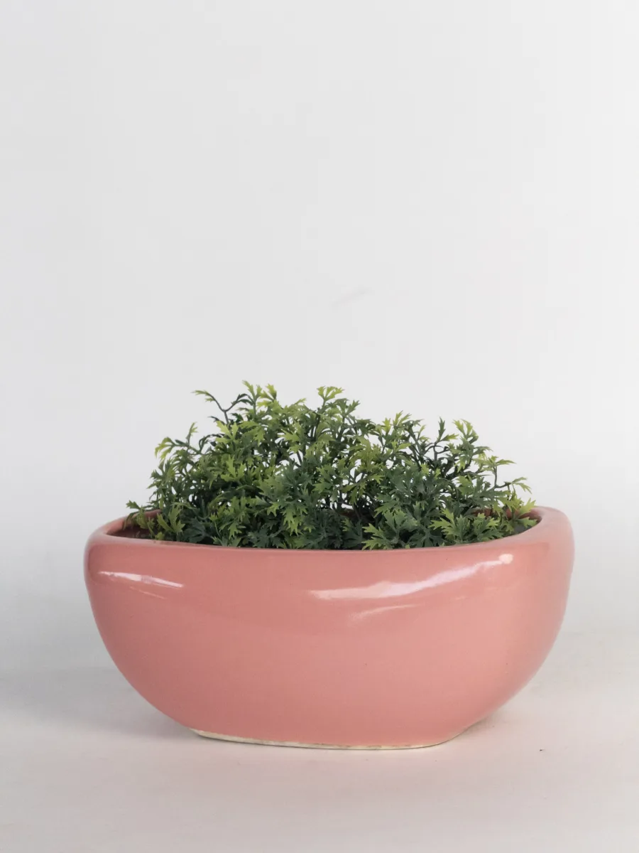 Classic Ceramic Planter — 4.5" Dia × 4" Height — Primary View