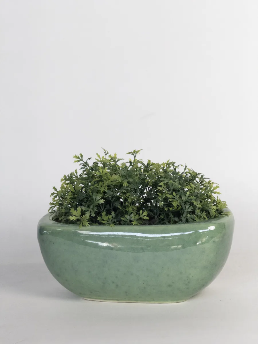 Classic Ceramic Planter — 6" Dia × 6" Height — Primary View