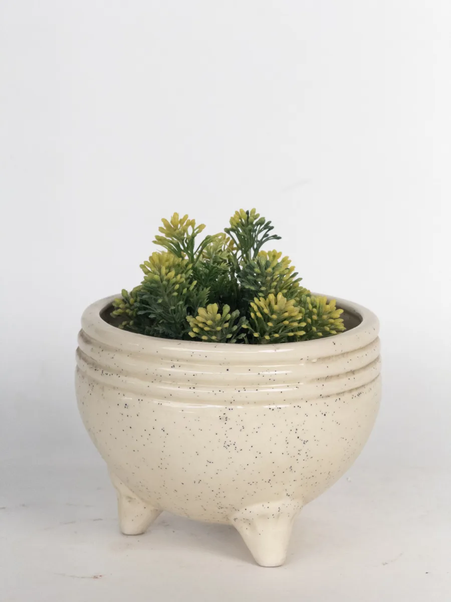 Classic Ceramic Planter — 5.5" Dia × 5" Height — Primary View