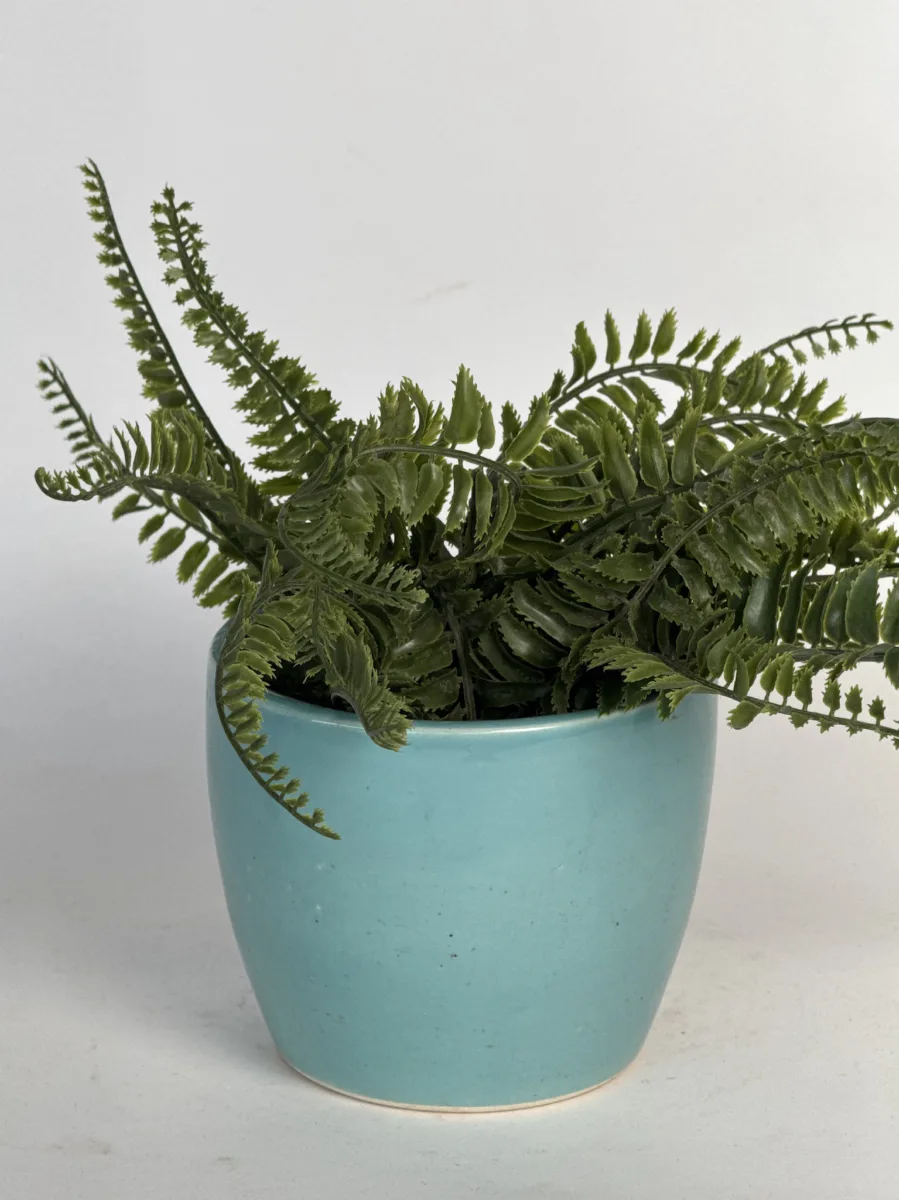 Classic Ceramic Planter — 8" Dia × 3" Height — Primary View