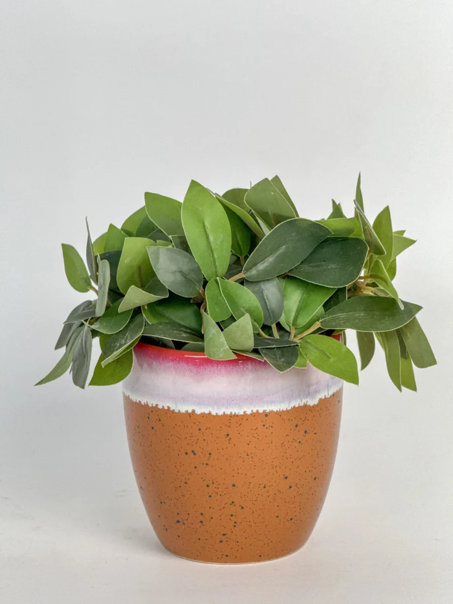 Classic Ceramic Planter Set of 2 (2" Dia) — Primary View