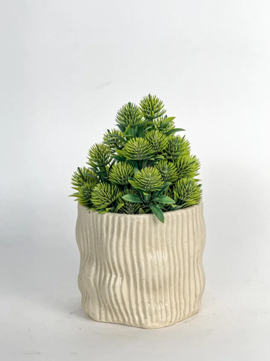 Classic Ceramic Planter — 8" Dia × 3" Height — Primary View