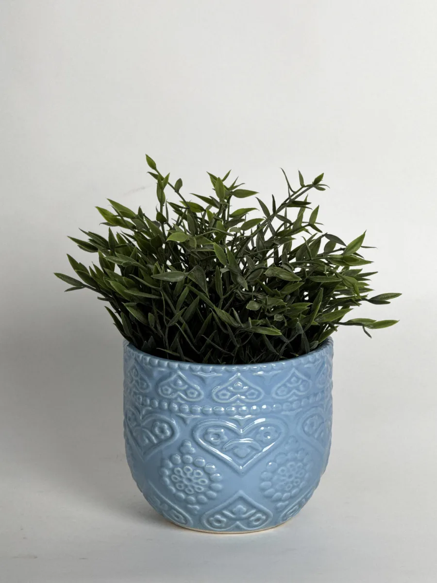 Classic Ceramic Planter — 5.5" Dia × 6" Height — Primary View