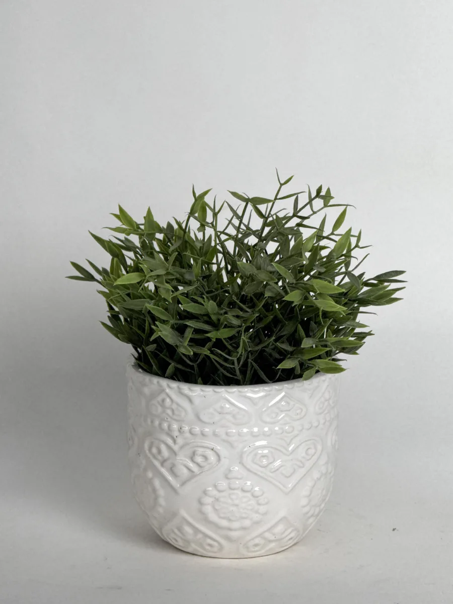 Classic Ceramic Planter — 4" Dia × 4" Height — Primary View