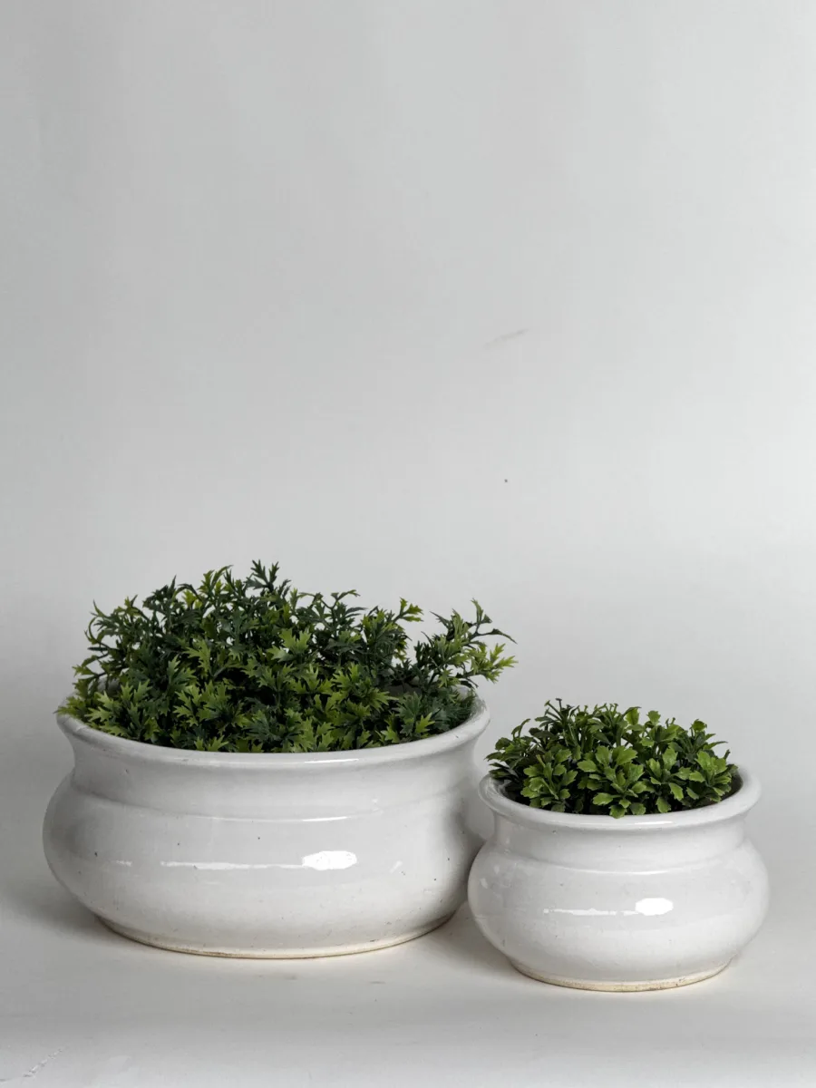 Classic Ceramic Planter — 4.5" Dia × 5" Height — Primary View