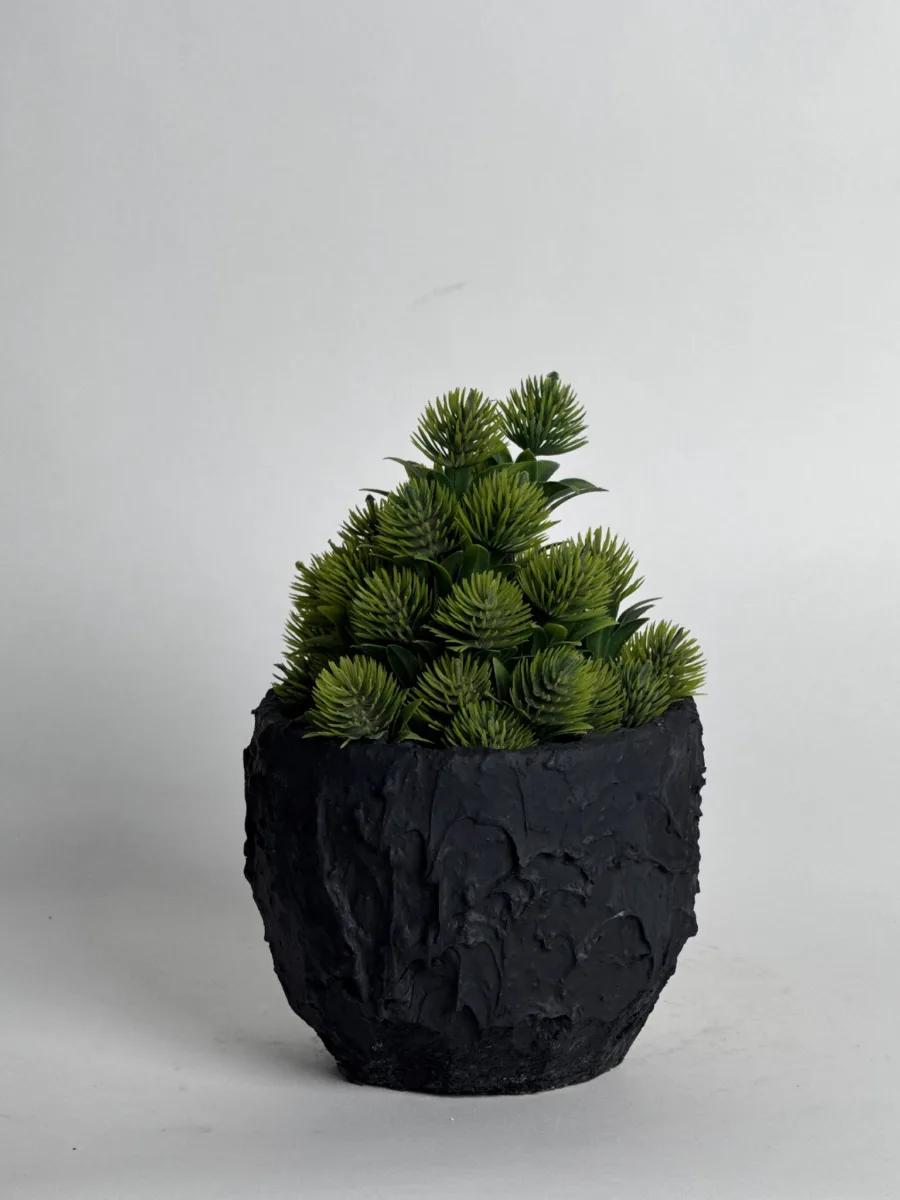 Classic Ceramic Planter — 5.5" Dia × 5" Height — Primary View