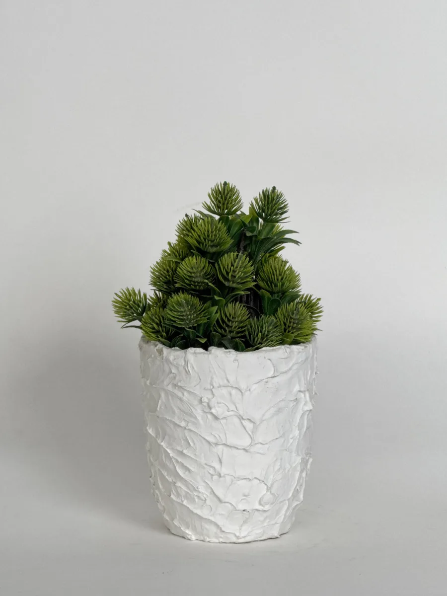 Classic Ceramic Planter — 5.5" Dia × 5" Height — Primary View