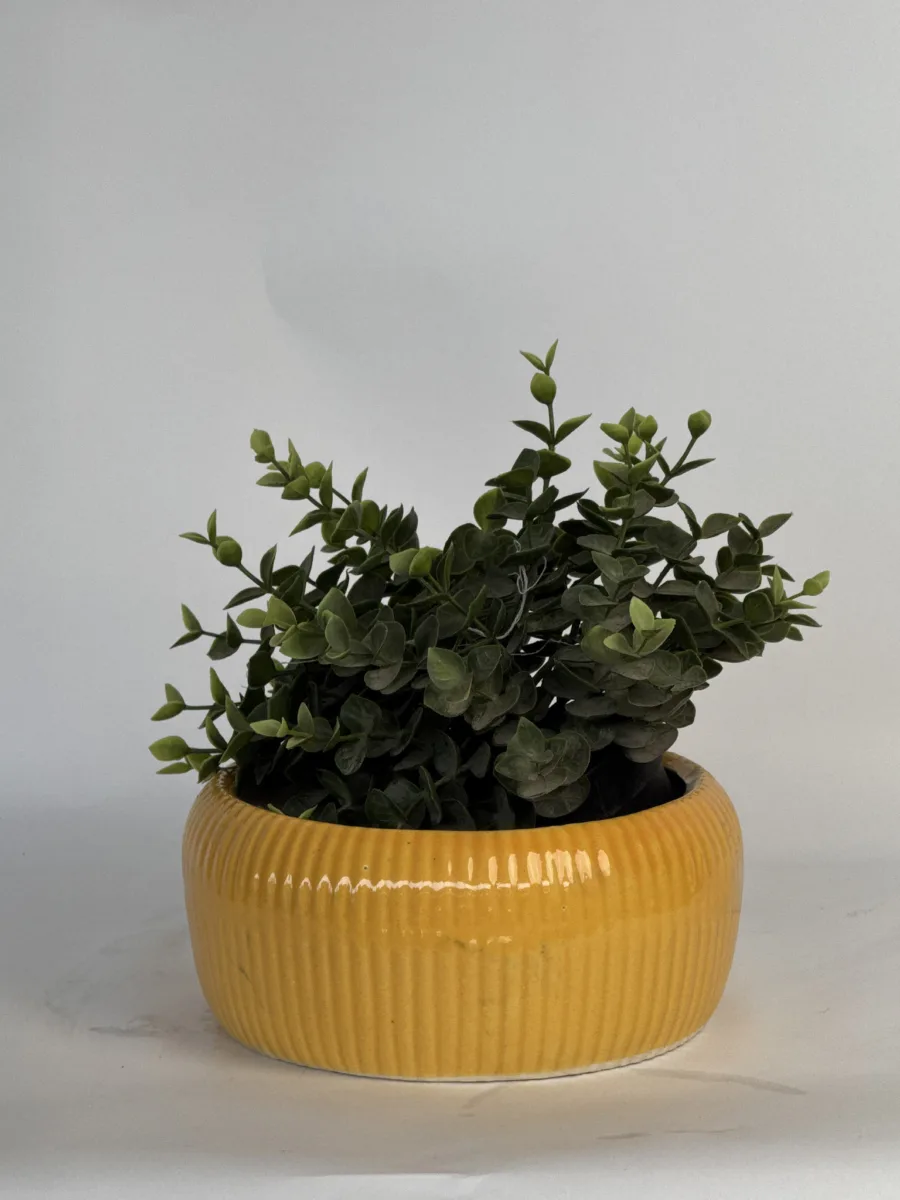 Classic Ceramic Planter — 7" Dia × 5.5" Height — Primary View