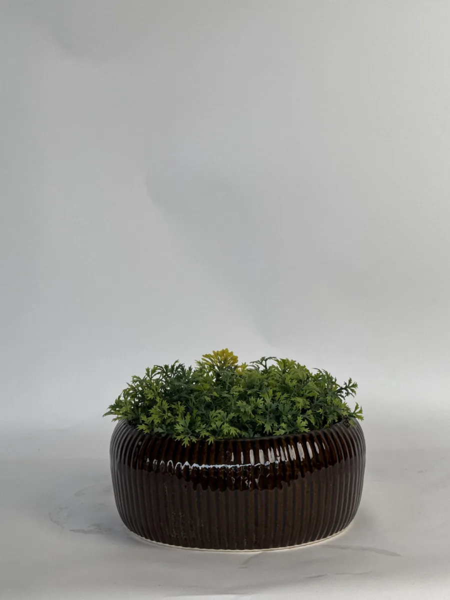 Classic Ceramic Planter — 6" Dia × 5.5" Height — Primary View