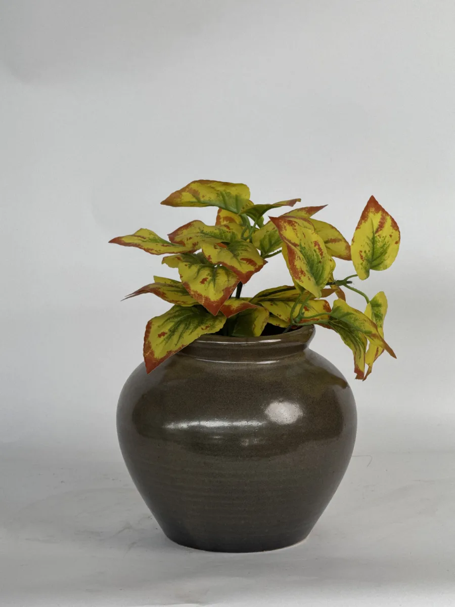 Classic Ceramic Planter — 9" Dia × 3" Height — Primary View