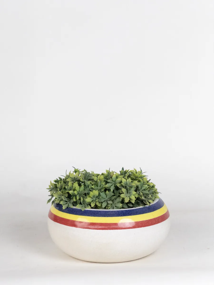 Classic Ceramic Planter — 9" Dia × 3" Height — Primary View