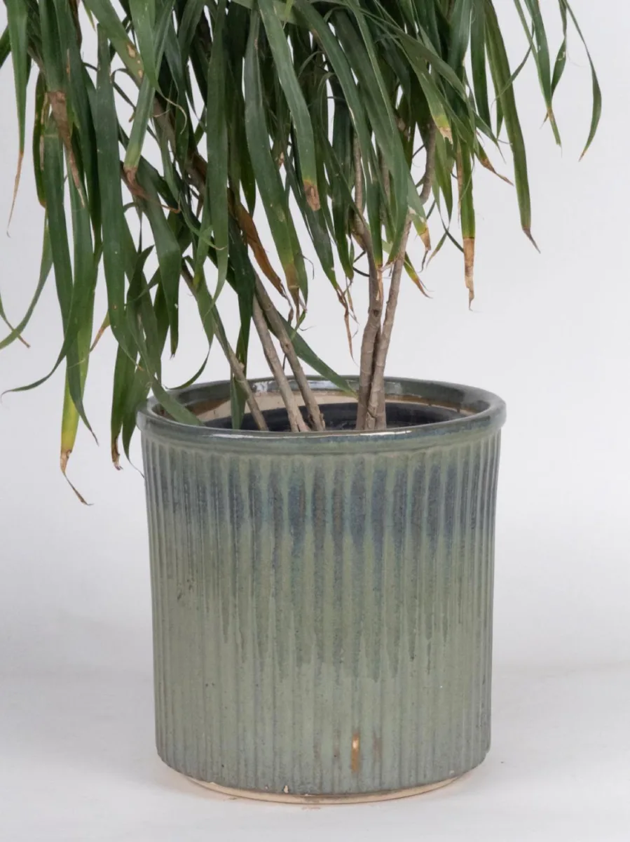 Classic Ceramic Planter — 8" Dia × 4" Height — Primary View