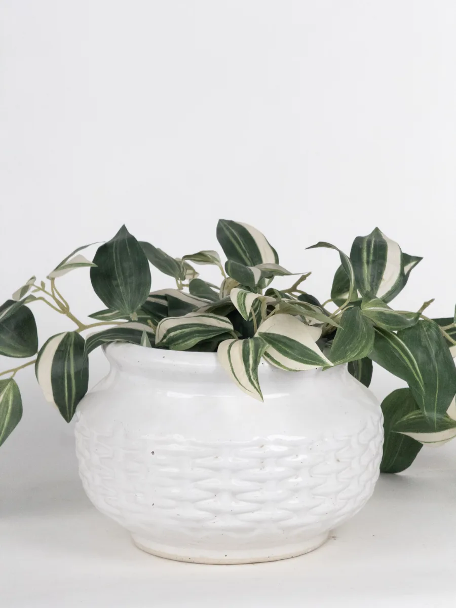 Classic Ceramic Planter — 8" Dia × 4" Height — Primary View