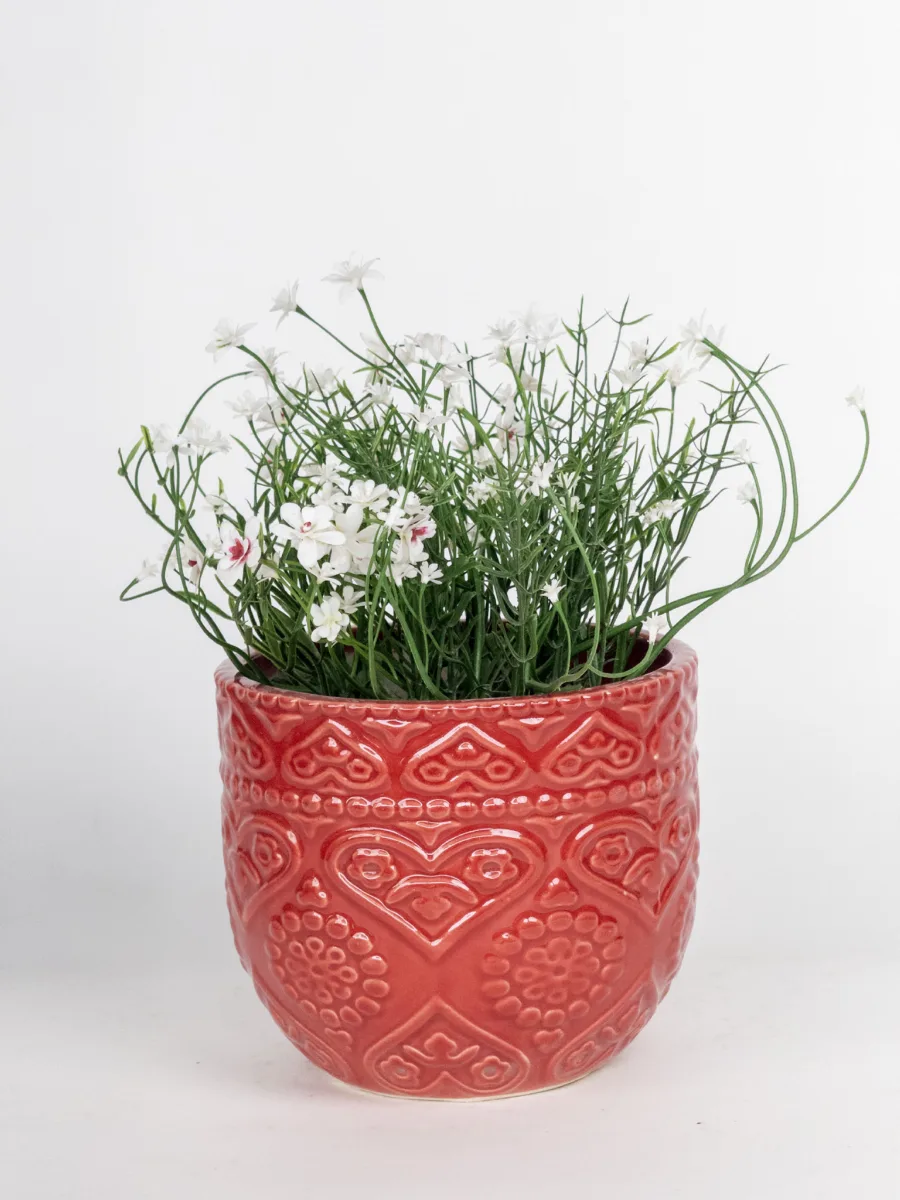 Classic Ceramic Planter — 8" Dia × 4" Height — Primary View